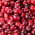 Eat cranberries, live longer: study