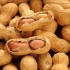 Eating peanuts while pregnant can cut risk of child allergies: study