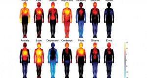 Human emotions mapped for the first time, shows where we feel love, fear, and shame
