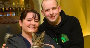 Mystery of the runaway cat found at hotel 270 miles away