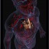 App’s map of the human body also charts next generation of surgery